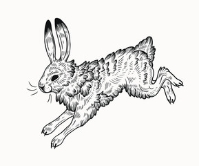 Easter rabbit isolated vector illustration in linocut style. Vintage stamp design of a bunny for print. Use for your creative graphic design projects, lithographs, postcards, invitations, tattoos.