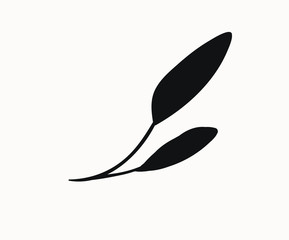 floral element silhouette graphics. hand drawn simple botanical plant illustrations for minimalistic graphic design projects. feminine logo elements, wedding invitation clip art for your creativity.