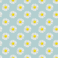 Watercolor hand drawn seamless pattern with wild meadow flower chamomile isolated on blue background. Good for textile, wrapping paper, background, summer design etc.
