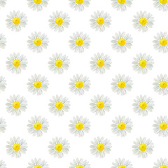 Fototapeta premium Watercolor hand drawn seamless pattern with wild meadow flower chamomile isolated on white background. Good for textile, wrapping paper, background, summer design etc.