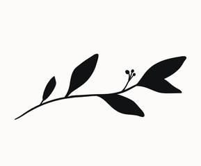 floral element silhouette graphics. hand drawn simple botanical plant illustrations for minimalistic graphic design projects. feminine logo elements, wedding invitation clip art for your creativity.