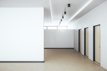 Minimalistic hall interior with blank white wall and doors.