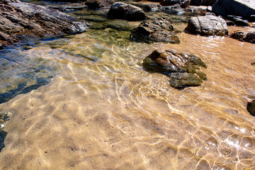 Fototapeta premium Areia da praia 