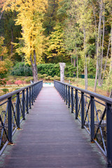 Fototapeta premium Bridge in a park, perspective view. Wooden floor, metal railing.
