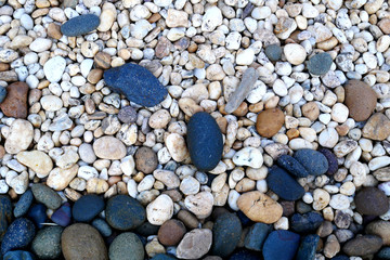 stone background. pebbles on the beach