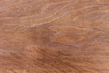 texture of wood