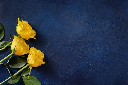 Three yellow roses on dark blue background with a space for a text