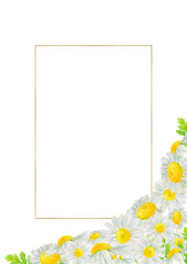Watercolor hand drawn wild meadow chamomile flowers and gold frame isolated on white background. Design element for summer  card, poster, invitation etc.