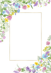 Obraz na płótnie Canvas Watercolor hand drawn floral summer composition with wild meadow flowers (clover, cornflower, tansy, cow vetch, chamomile, chicory) and gold frame with copy space isolated on white background
