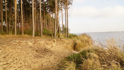 Natura