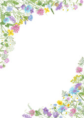Watercolor hand drawn floral summer frame with copy space and wild meadow flowers (clover, bluebell, cornflower, tansy, chamomile, cow vetch, dandelion etc.)  isolated on white background