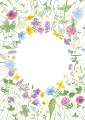 Watercolor hand drawn floral summer circle frame with copy space and wild meadow flowers (clover, bluebell, cornflower, tansy, chamomile, cow vetch, dandelion) and grass isolated on white background