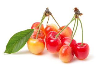 Cherry isolated on white background
