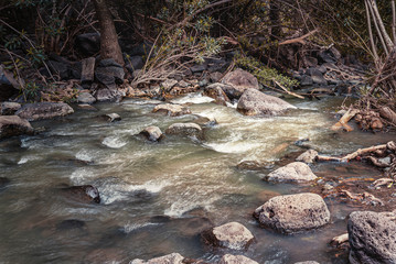 landscape of mountain stream flowing among stones