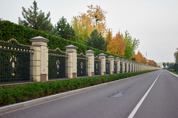 Forged fence and decorative bushes along empty road. Smooth grey road.