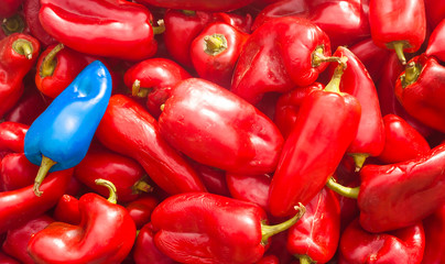 red pepper vegetable with blue genetic modified plant