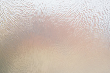 Fototapeta premium Abstract background for various use. Computerized photos.