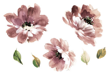 Flowers watercolor illustration.Manual composition.Big Set watercolor elements.