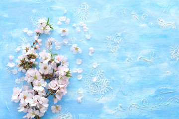 photo of spring white cherry blossom tree on vintage pastel blue wooden background. View from above, flat lay