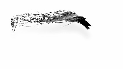 black splash like petroleum in air. 3d rendering of liquid splash in cartoon style