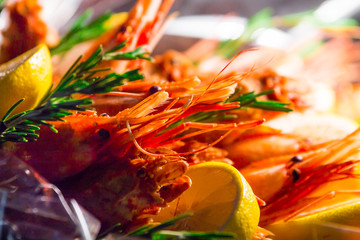 Obraz na płótnie Canvas bunch of big cooked red shrimps , king prawns, crab legs, lemons and rosemary branches made as a healthy food gift full of protein