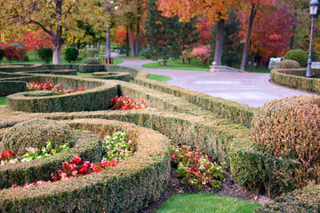 Park garden with lineraly cut bushes and flowers. Autumnal park docoration.