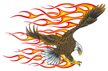 Flaming Eagle - vehicle graphic. Ready for vinyl cutting. . - 329056075