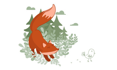 Red Fox hunts a small chicken