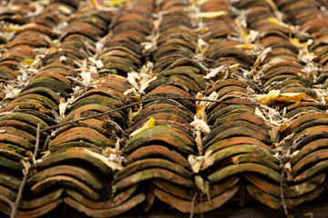 old clay roof tiles close up as background