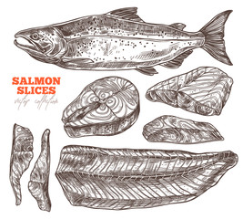 Vector collection of slices, fillet, steak of red fish. Hand drawn seafood and salmon. Sketch illustration of meat food products