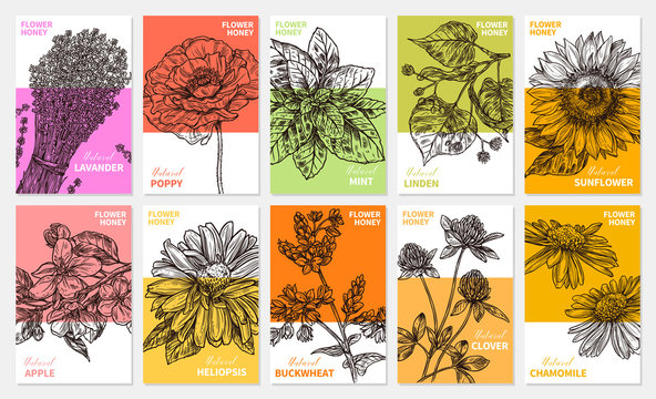 Vector collection of labels, stickers and cards for wildflower honey products. Banners for beekeeping and apiculture with sketch hand drawn illustrations