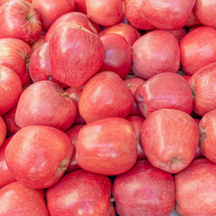 red apples top view close up, natural food background