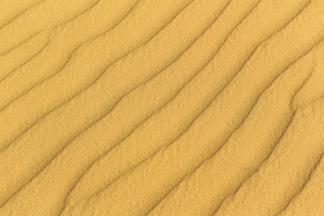 Fototapeta na wymiar Abstract yellow sand desert background with copy space. Europe desert in Ukraine.