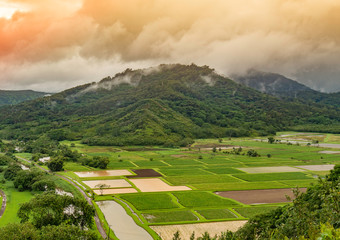 hanalei, valley © Cmon