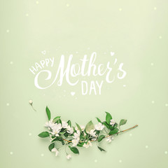Lettering of Happy Mother's Day in frame from flowers of an apple tree on a pastel green background. Minimal concept