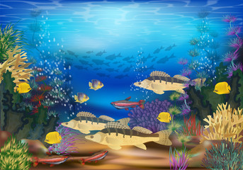 Underwater landscape with tropical fish wallpaper, vector illustration