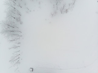 top down view of a few sparse clump of trees and bushes growing on snow covered grounds on a cold foggy day