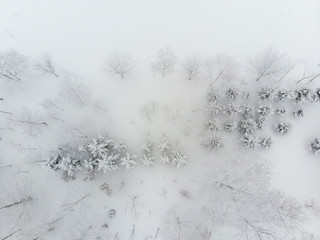 top down view of a few sparse clump of trees and bushes growing on snow covered grounds on a cold foggy day