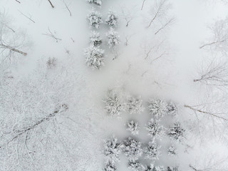 top down view of a few sparse clump of trees and bushes growing on snow covered grounds on a cold foggy day