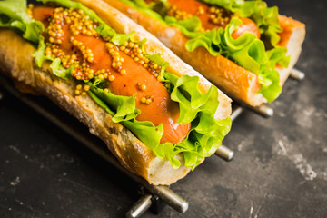 Tasty fresh hot dogs with grilled sausage, french mystard and fresh salad leaves on the rustic...