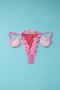 Concept polycystic ovary syndrome, PCOS. Copy space, women reproductive system.