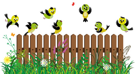 Funny colored birds on the background of fence, grass and flowers. Little isolated birds in cartoon style.