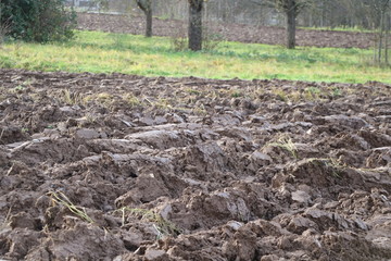 empty field
