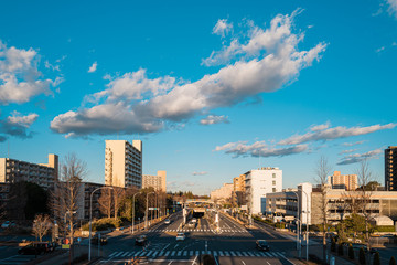 Skyline of Tsukuba City Center in Ibaraki, Japan