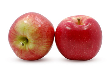 Fresh Apple fruit isolated on white background