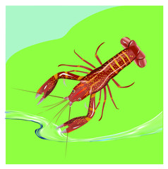 Vector illustration, crayfish.  Vector delicacy river lobster, langoustine or spiny lobster or crustacean delicacies isolated on blue background.