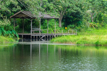 Abandoned wooden platform in the forest