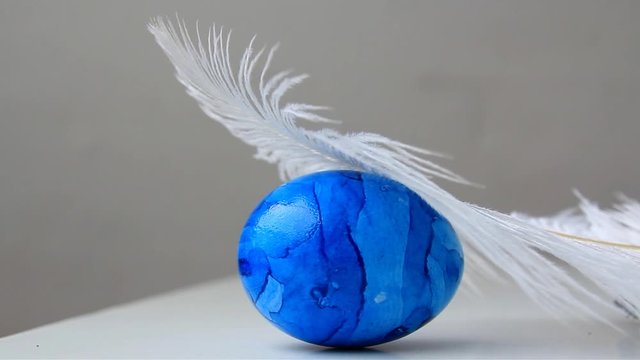 blue egg under a white fluffy ostrich feather on a dark blue background, easter concept