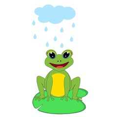 cute frog illustration  pattern nursery decor