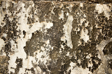 Rough Grunge Vintage Cement Wall Background Distressed Weathered, Dirty Old Texture 